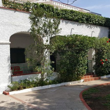 Villa Feli 3 Benicassim Exterior photo