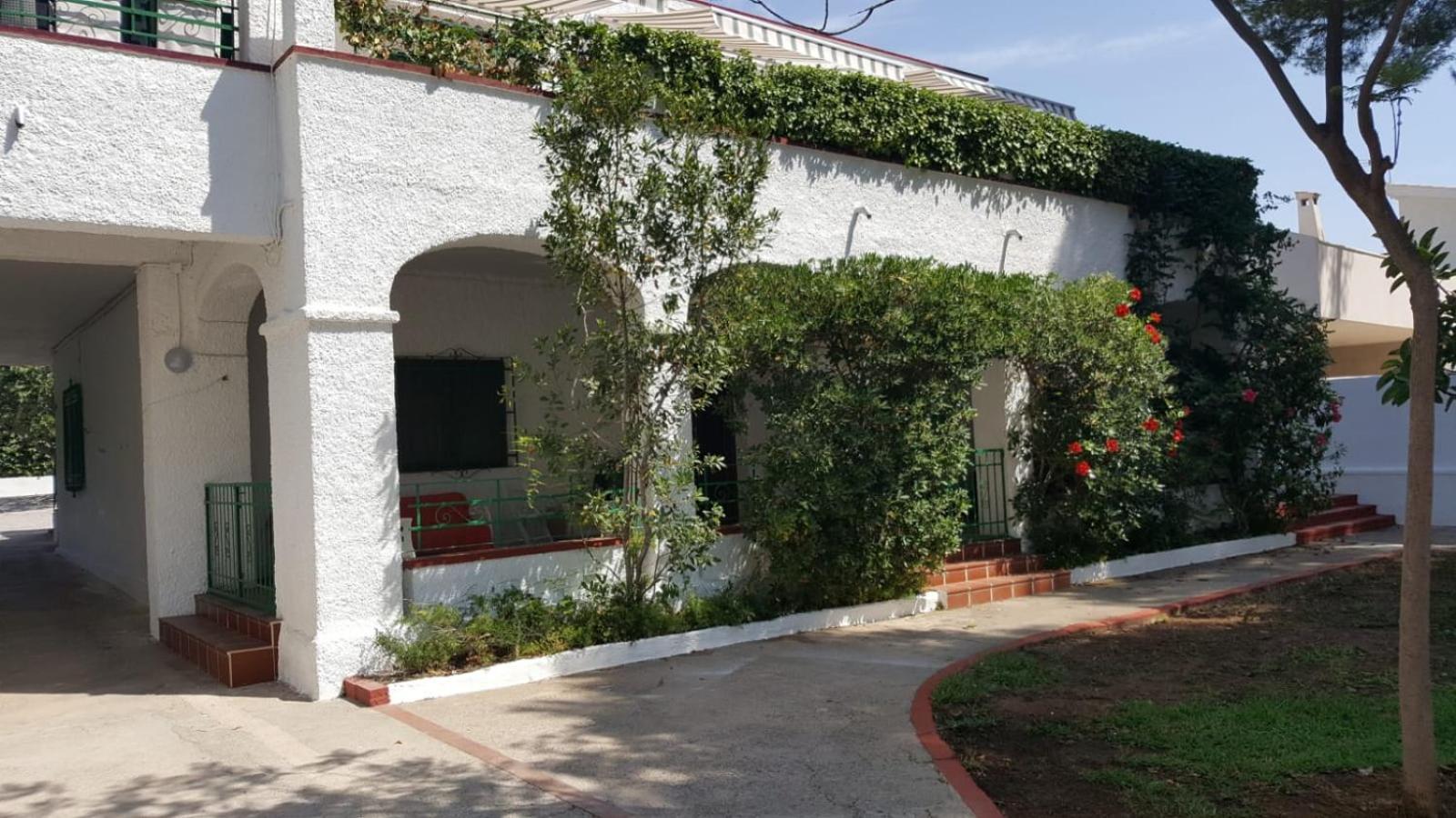 Villa Feli 3 Benicassim Exterior photo